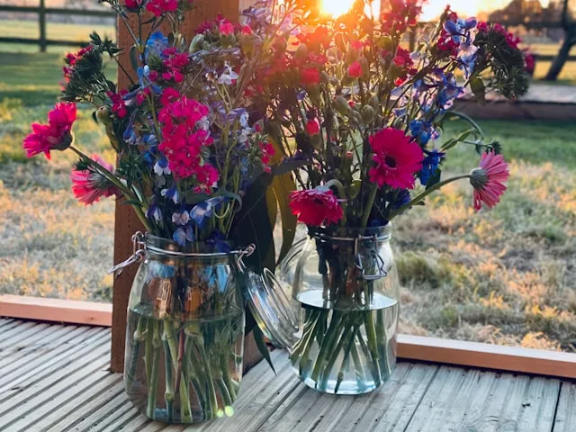 Autumn Harvest