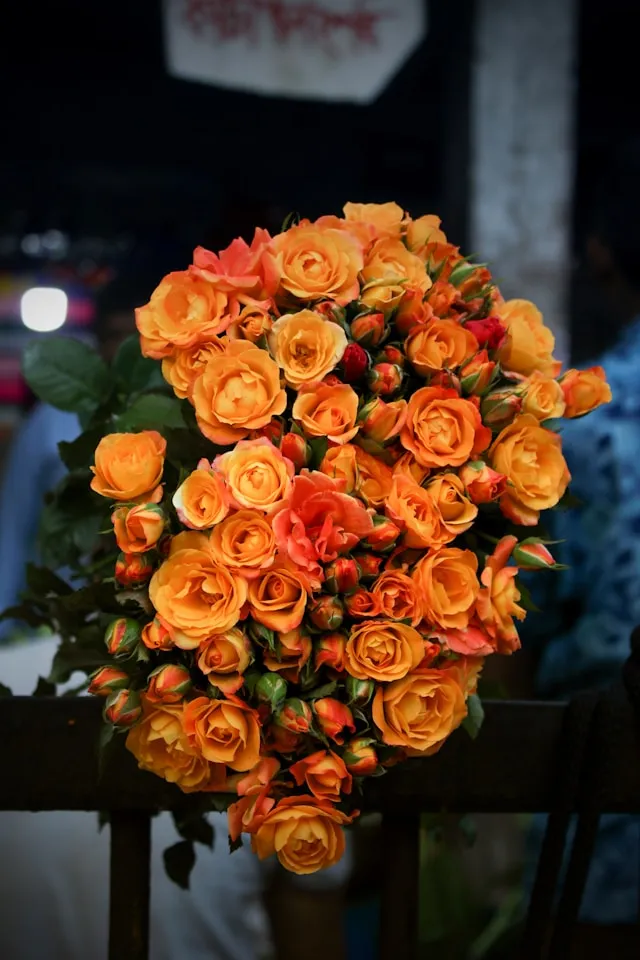 Blush Garden