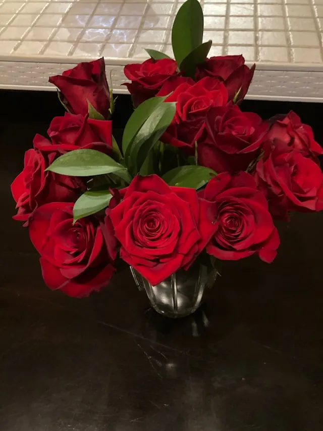 Velvet Rose